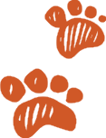 dabal-foot