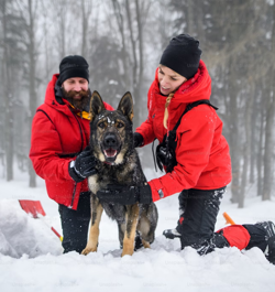 dog walker